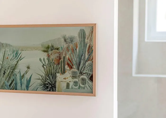 La Ponche X Les Graniers - Old Village - Shellter *